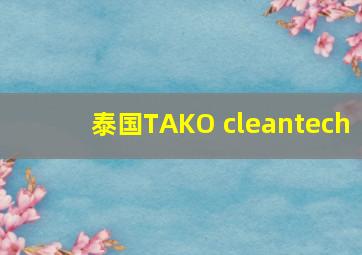 泰国TAKO cleantech